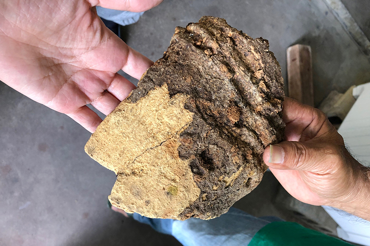 Ryukyu Kasuri photo-5